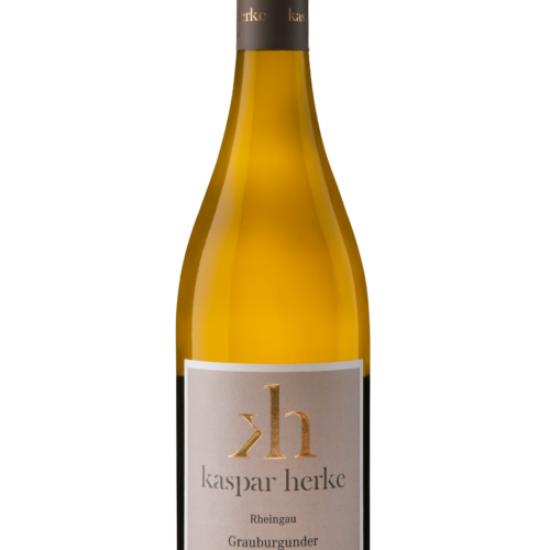 2025er Rheingau Grauburgunder QbA trocken